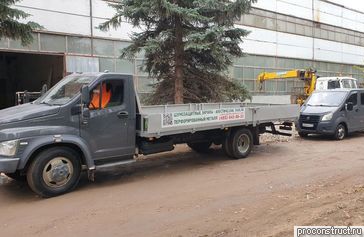 �������� ������������ ������������ �������